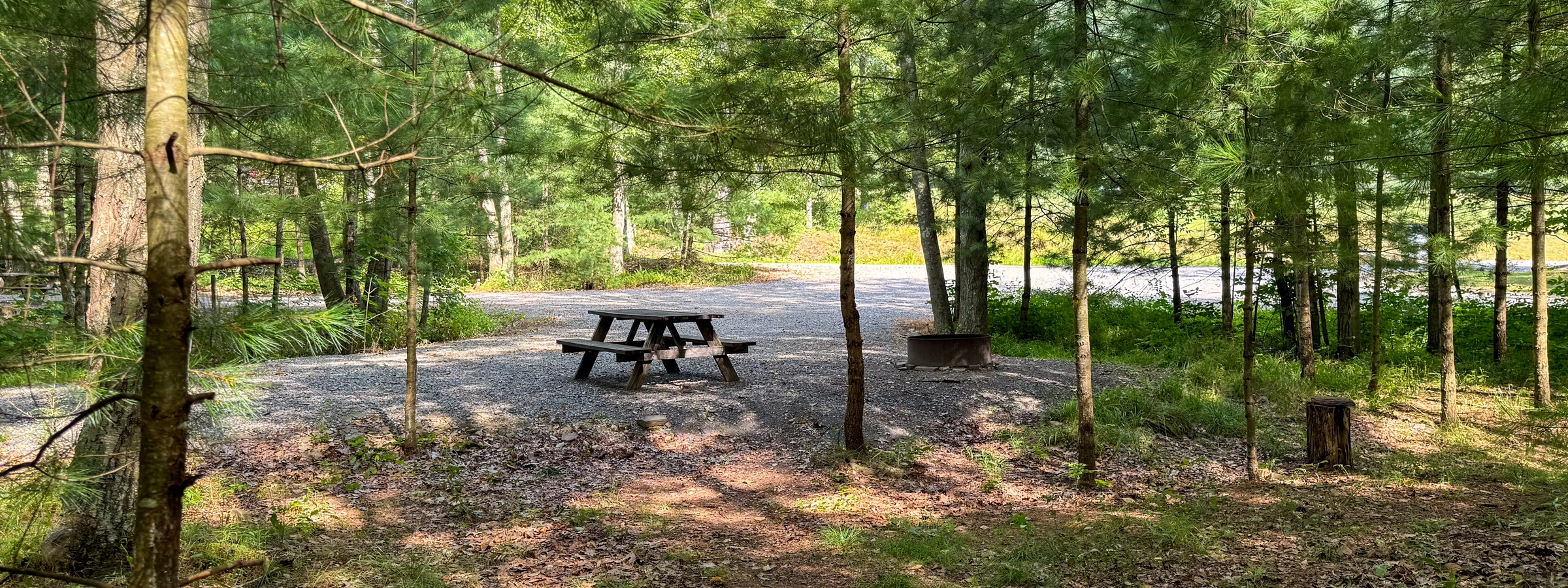 Campsite 17 Header