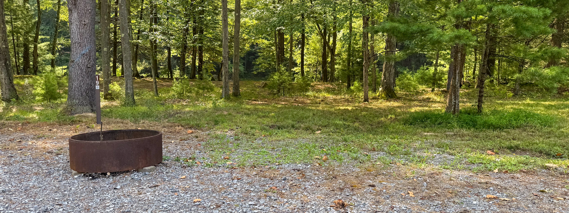 Campsite 15 Header