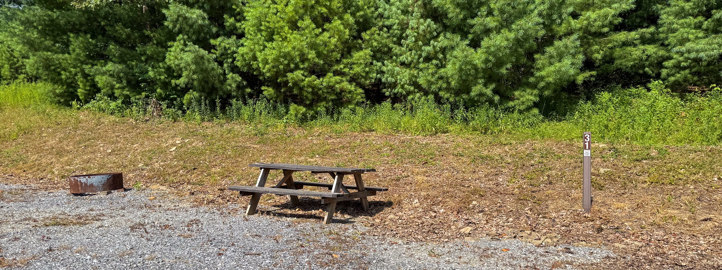 Campsite 31 Header