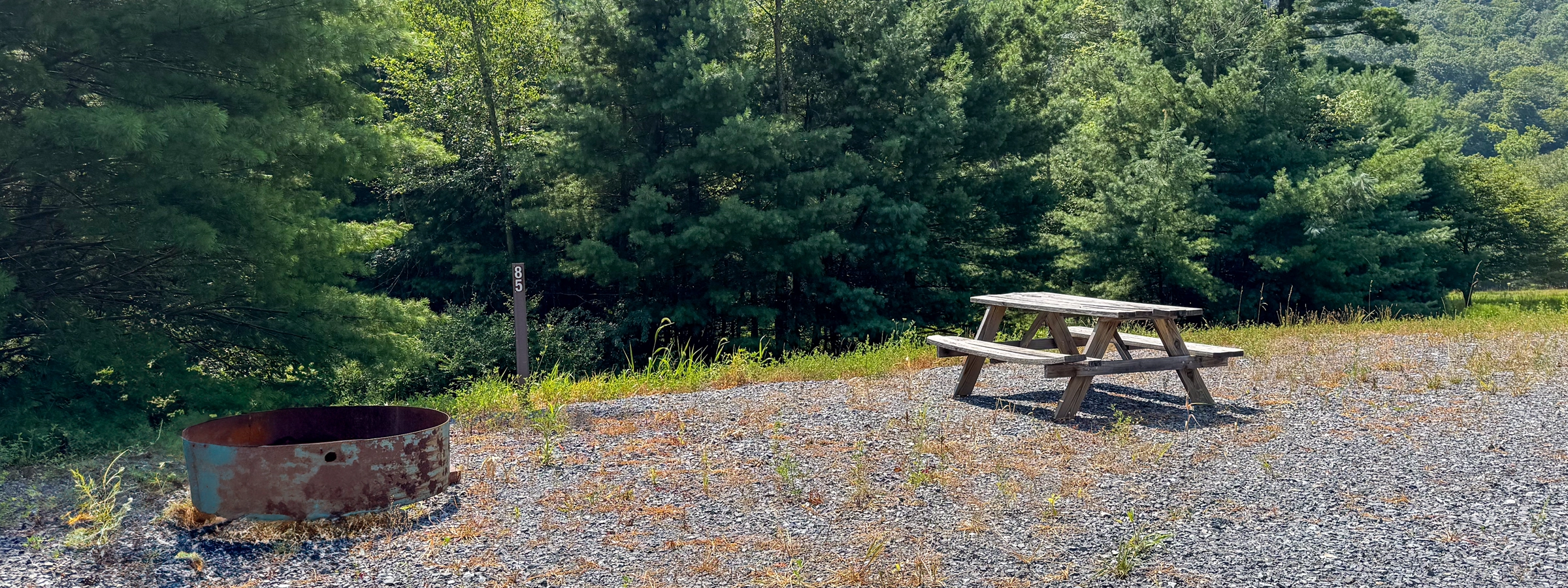Campsite 44 Header
